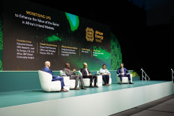 DSC1008-1.jpg