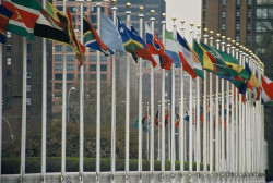 UN_Members_Flags-1068x715.jpeg